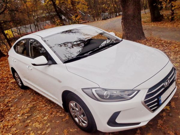Hyundai Elantra белая 2018 арендовать на свадьбу