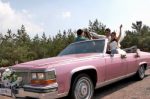 Кабриолет розовый Cadillac Fleetwood cabrio аренда код 194