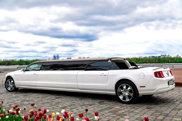 Ford Mustang Limo прокат лимузин кабриолет на свадьбу трансфер девичник день рождения