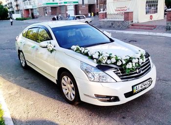 Nissan Teana белая на свадьбу киев