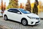 Toyota Corolla аренда авто код 050